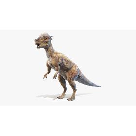 Pachycephalosaurus model